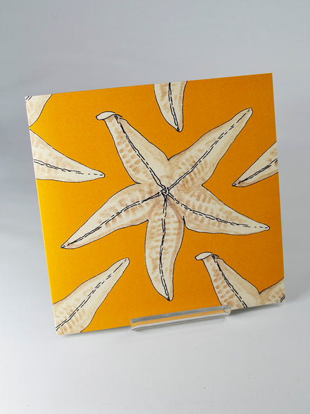 Common Starfish by Joan Charnley (original 1976 ink and watercolour design from Joan Charnley's sketchbooks)