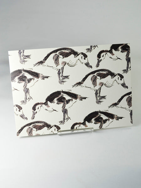 Hungry Ducks by Joan Charnley (original 1971 ink and watercolour design from Joan Charnley's sketchbooks)