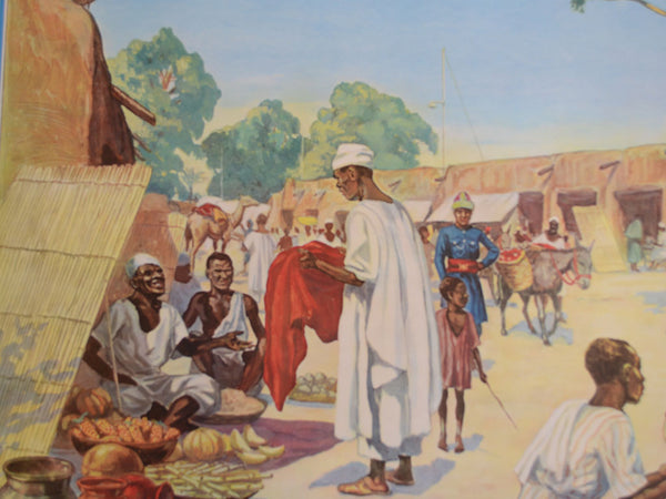 Macmillan's Teaching in Practice Primary Education Classroom Poster: No 96 - The Mud-Made City of Kano, Nigeria