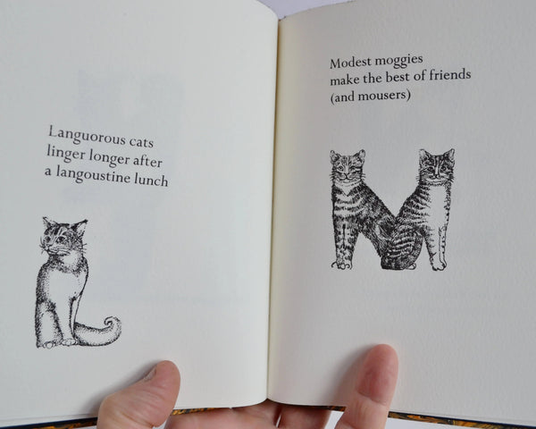 A Catalphabet Written and Illustrated by Jo Reed Turner (Parrot Press / 2007)