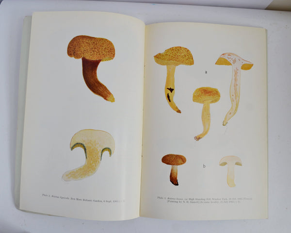 Coloured Icones of Rare and Interesting Fungi Parts 1 – 4 by Derek A. Reid (Verlag Von J. Cramer / 1966)