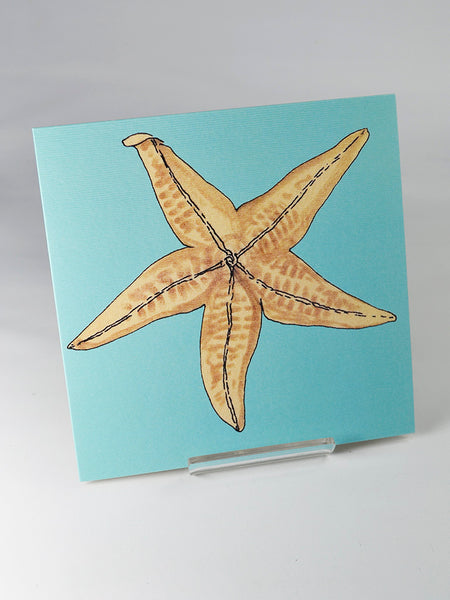 Common Starfish by Joan Charnley (original 1976 ink and watercolour design from Joan Charnley's sketchbooks)