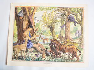 Macmillan's Teaching in Practice Primary Education Classroom Poster: No 151 - Orpheus and His Lyre