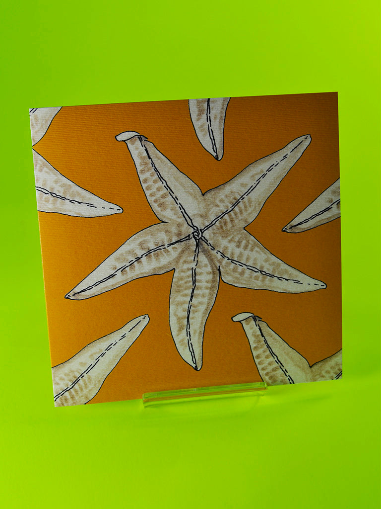 Common Starfish by Joan Charnley (original 1976 ink and watercolour design from Joan Charnley's sketchbooks)