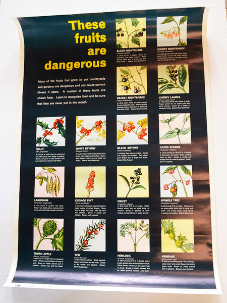 These Fruits Are Dangerous Poster (Royal Society for the Prevention of Accidents / UK)