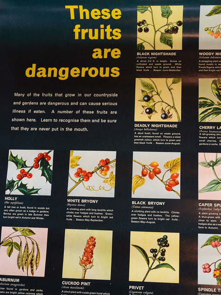 These Fruits Are Dangerous Poster (Royal Society for the Prevention of Accidents / UK)