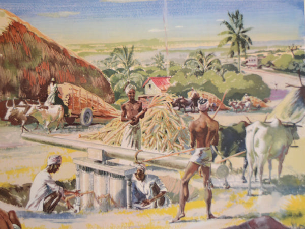 Macmillan's Teaching in Practice Primary Education Classroom Poster: No 100 - A Village Sugar Mill in India